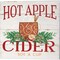Hot Apple Cider & Wassail by Jennifer Pugh 14" x 14" Canvas Wall Art (Set of 2)